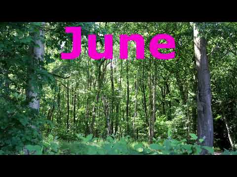 One Year (Time Lapse)