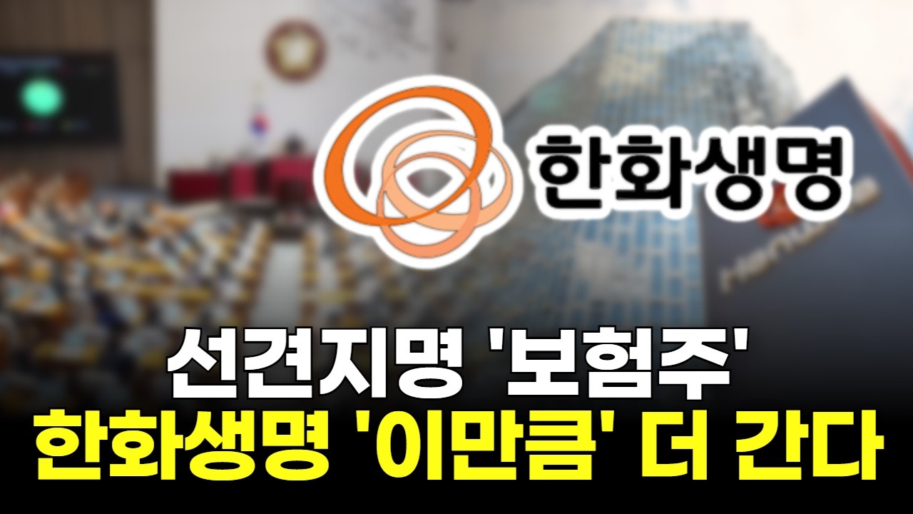 선견지명 '보험주'...한화생명 '이만큼' 더 간다