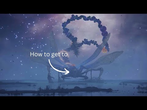 The Easiest Way to get to Astel (No Ranni Quest)