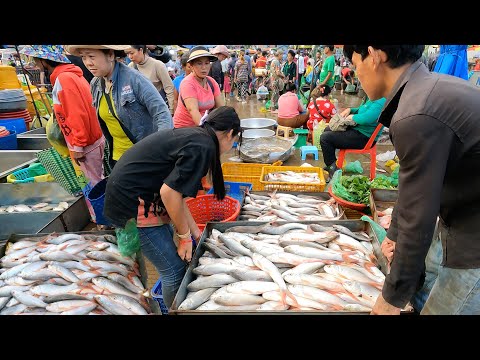 Most Popular Wholesale Fish Market In Phnom Penh City - Amazing Site Distribution Lively Fish