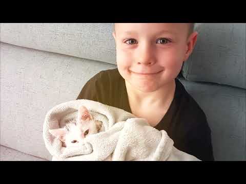 Wojtas PPR- Nowy sens prod. DNA cuty/mix Jogas.