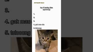 Download lagu Top 5 Kucing Bisa Ngomong: Bagian 1 #cat #cats #kucinglucu #kucing #kucingimut #funnycats #shorts mp3 Download lagu Top 5 Kucing Bisa Ngomong: Bagian 1 #cat #cats #kucinglucu #kucing #kucingimut #funnycats #shorts mp3