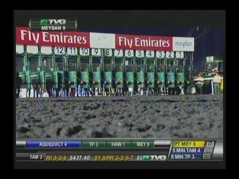 Animal Kingdom - 2013 Dubai World Cup