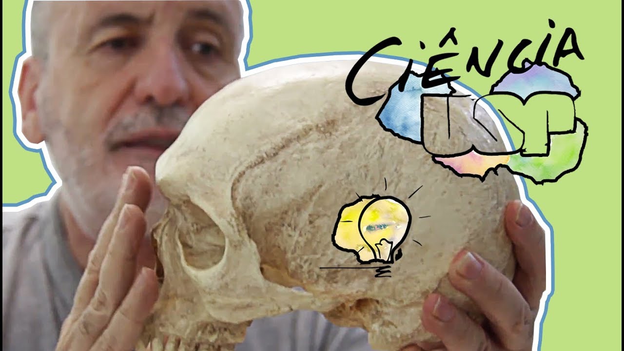 Descoberta no Marrocos liga fóssil de 350 mil anos a nós