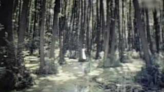 Beck-Volcano (Unofficial videoclip)