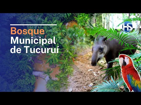 Bosque Municipal de Tucuruí