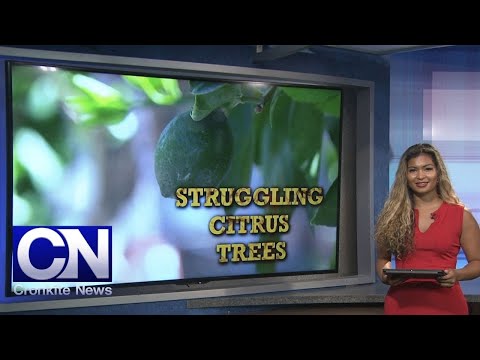 June 12, 2021 Newscast | Cronkite News