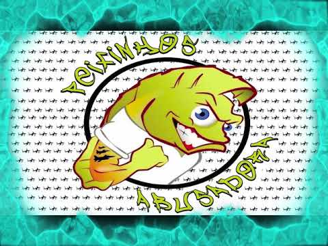 Mc Baile Px - Resposta segunda versão