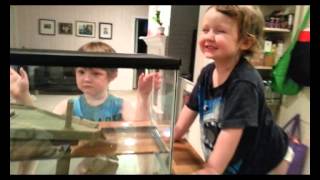 Merry Everything and Happy New Year from the Windsors! 2014