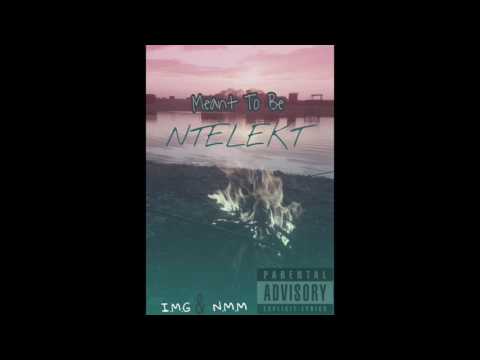 NTELEKT - Meant To Be (prod. chuki beats)