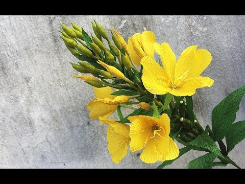 ABC TV | How To Make Oenothera Biennis Flower From Crepe Paper - Craft Tutorial