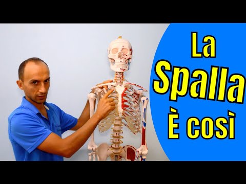 Unguento Barkan per la cura delle articolazioni Mal di schiena curati a casa