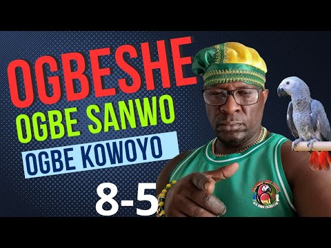 ENTIENDE MÁS SOBRE EL ODDUN  OGBE SHE 8-5🦜