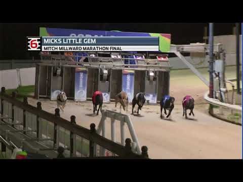 2020 MICTH MILLWARD MARATHON FINAL - T6 MICKS LITTLE GEM