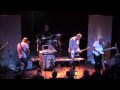 Red Fox Grey Fox live @ The Fine Line "untitled and unreleased new song"