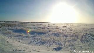 Ссылка