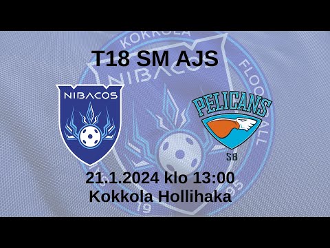 T18 SM AJS: Nibacos - Pelicans 21.1.2024 klo 13