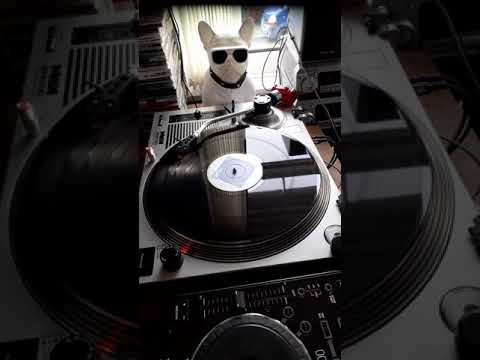 tall paul v inxs precious heart 🔥