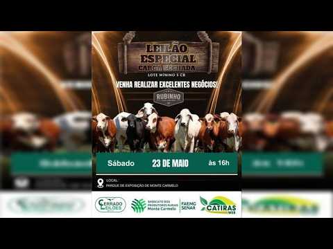 LEILÃO AO VIVO CERRADO LEILÕES E SINDICATO RURAL DE MONTE CARMELO - MG -  23 DE MAIO DE 2026.