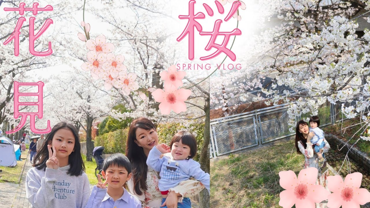 【2026お花見🌸】44歳3児のシングルマザーの春休み☘️