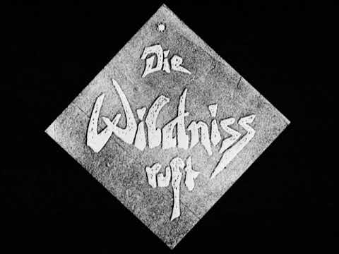 Gusto Gräser - Der Eremit vom Monte Verità