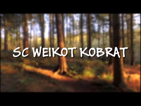 Tekniikkareeni vko 17