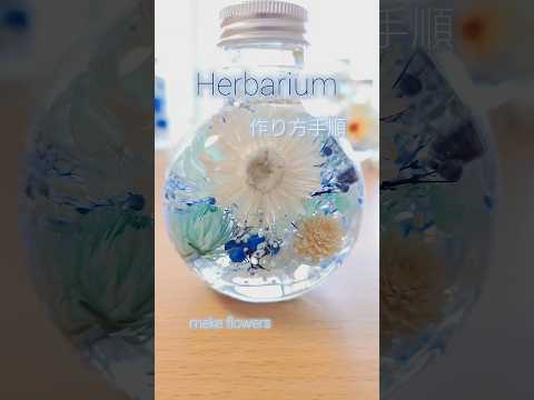 植物標本のさまざまな葉