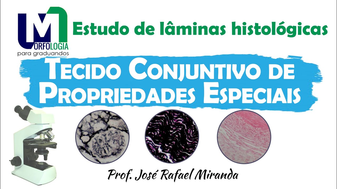 Tecido conjuntivo de propriedades especiais - Estudo de lâminas histológicas