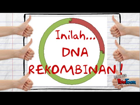 DNA Rekombinan (Insulin) - Fast & Easy Learning
