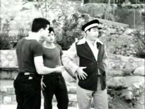 Beatnik fly ~ Johnny & The Hurricanes