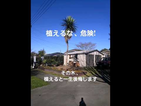 家の近くに植えてはいけない木は何ですか オークの灰の花粉を避けるのはなぜですか