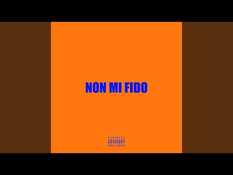 Non mi fido
