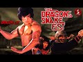 The Dragon S Snake Fist 1979 MARTIAL ARTS Full Movie