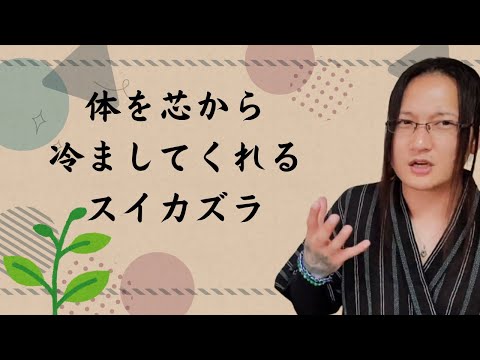 スイカズラは霜を恐れますか？お手入れに関する私たちのアドバイス！  庭園