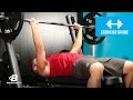 Barbell Bench Press Medium-Grip | Exercise Guide