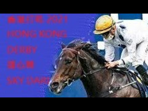 HONG KONG DERBY 2021香港打吡 2021勝出馬匹:達心星 (D088)SKY DARCI TOP 10 HK HORSE