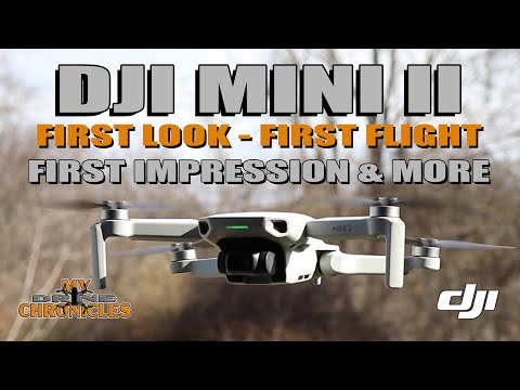 DJI Mini 2 First Look First Flight First Impression & More