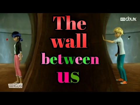 The wall between us|AMV|miraculous ladybug