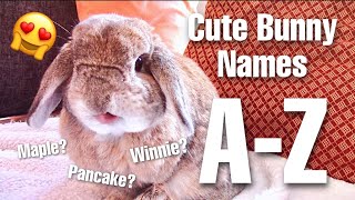 A BUNCH of cute bunny names I found so you don't have too :) || A-Z