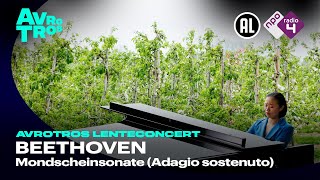 Download lagu Beethoven: Mondscheinsonate (Adagio sostenuto) - Yang Yang Cai - AVROTROS Lenteconcert HD mp3 Download lagu Beethoven: Mondscheinsonate (Adagio sostenuto) - Yang Yang Cai - AVROTROS Lenteconcert HD mp3
