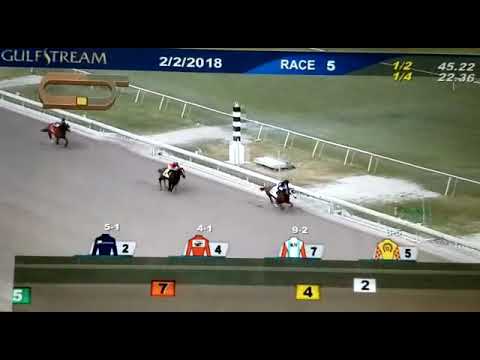 King Humor - Hs El Coraje