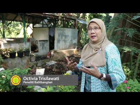 Mudahnya Membuat Pupuk Organik