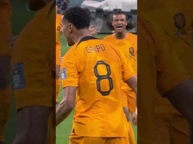Gakpo at the #FIFAWorldCup 2022! 🔥 #NothingLikeOranje