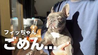 良かれと思って愛犬にしたことで、大変なことになってしまいました…