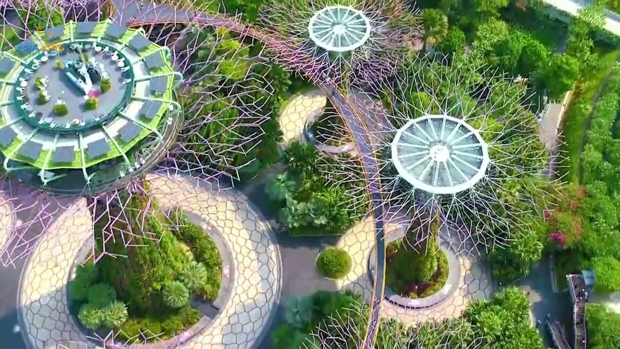 Gardens by the Bay - I magnifici giardini di Singapore