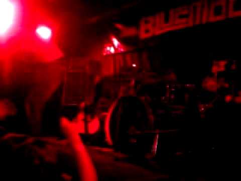 Killing in the name of - Bluemoose