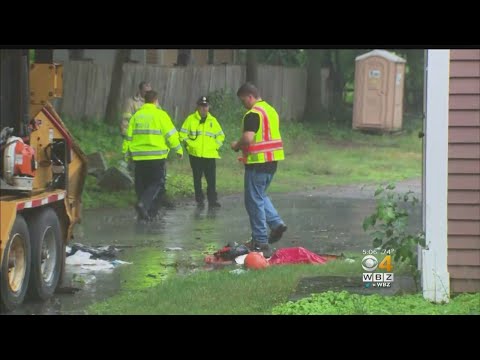 download lagu mp3 mp4 Meyer Tree Service Death, download lagu Meyer Tree Service Death gratis, unduh video klip Meyer Tree Service Death