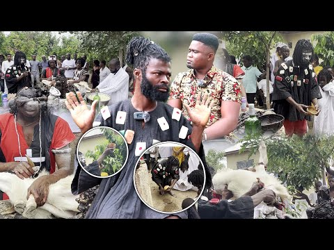 AKWASIDAE:- A Day That Is Sacred To The Gods And Is Celebrated - Adae Festival Explained Okuoba Nana