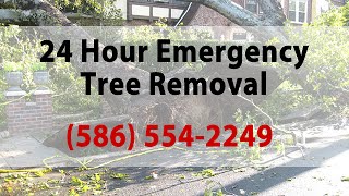 preview picture of video '24 Hour Emergency Tree Removal Sterling Heights MI. Call (586) 554-2249 Now'
