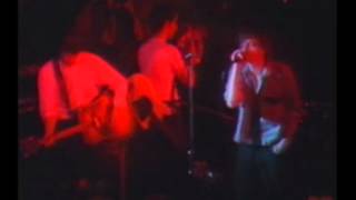 The Fall - Lay of the Land - Live 1984